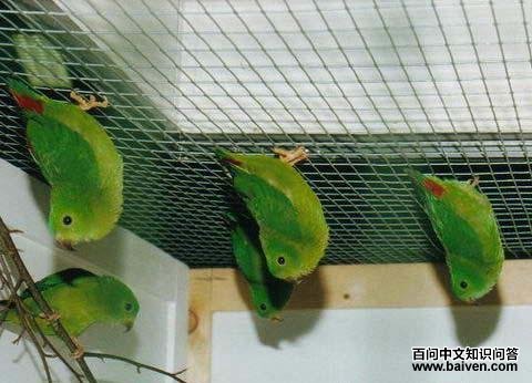 ���ڶ�β���ĵ�ͼƬ