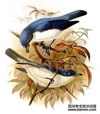 �������V��ͼƬ