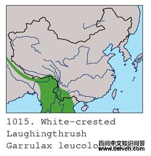 �׹�����