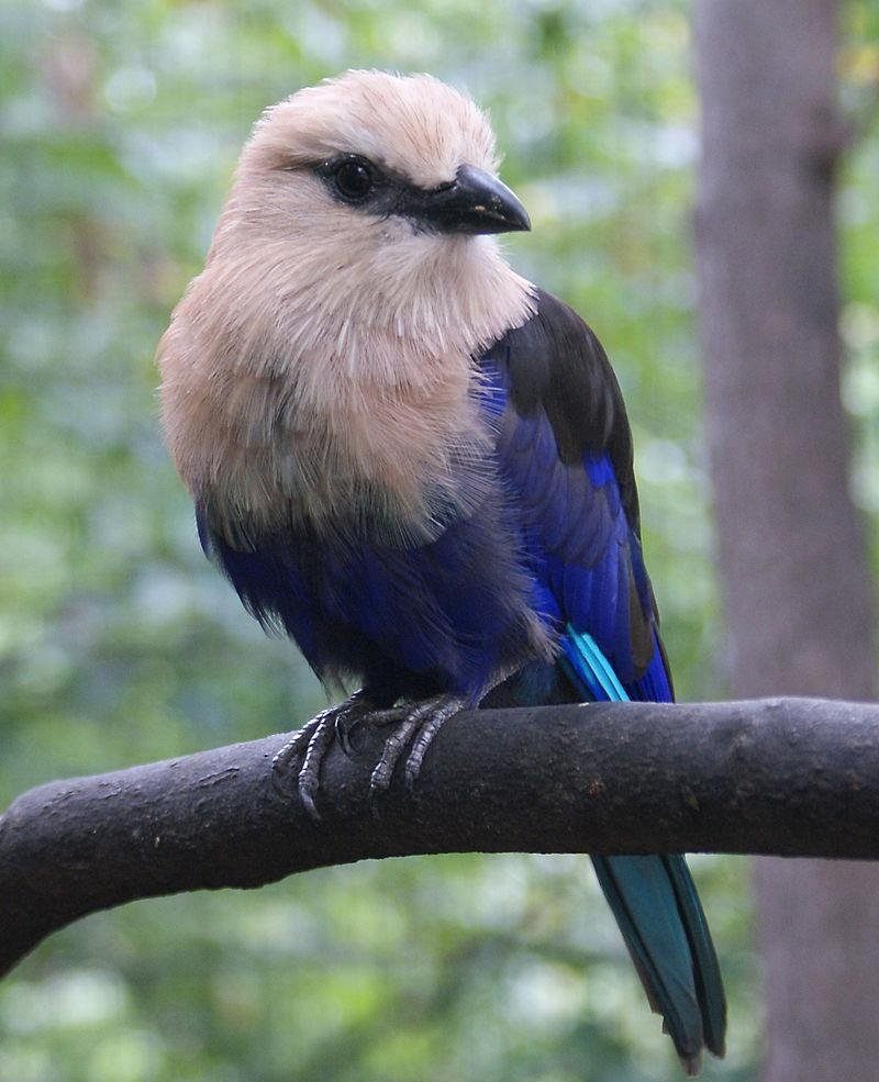 ������ɮ��ͼƬ