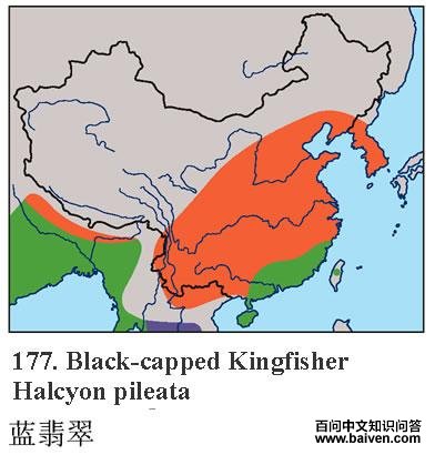 ����䣺�����ֲ�ͼ