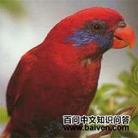 �����������ĵ�ͼƬ