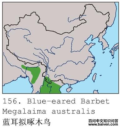 ��������ľ��