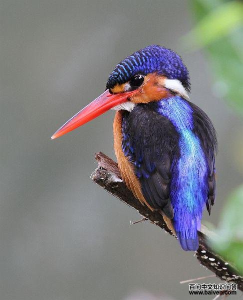 ��ͨ���񣺴����ǳ���