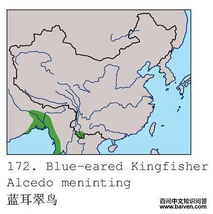 �������񣺵����ֲ�ͼ