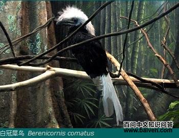 �׹�Ϭ������ͼƬ