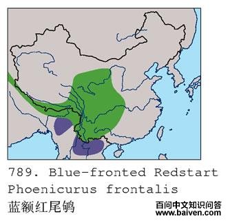 �����β�