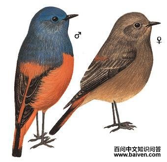 �����β�