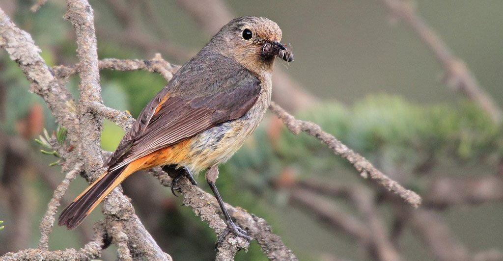 �����β𶣺������Ӱ��Ҵ���ˣ�