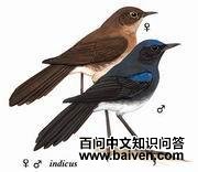 �������ͼƬ