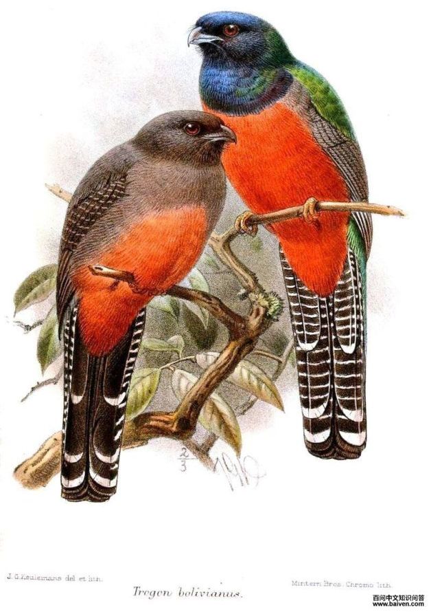 ��������ҧ���ͼƬ