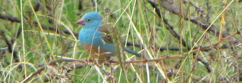 ��������ȸ��ͼƬ