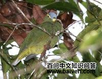 ��������ͼƬ