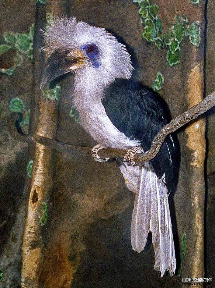 �׹�Ϭ���ͼƬ