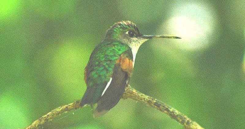 ���������ͼƬ