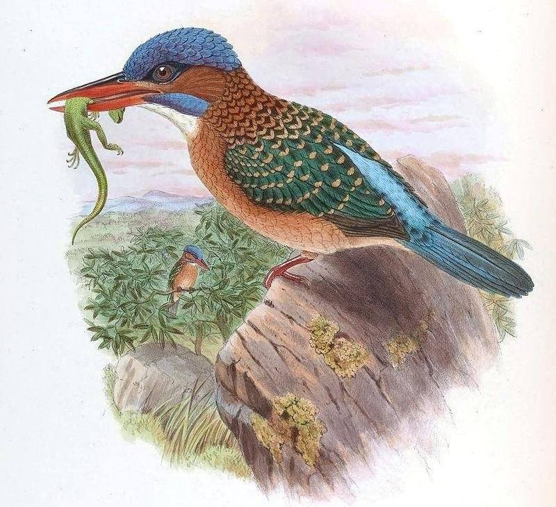 ������䣺��̬����ͼ