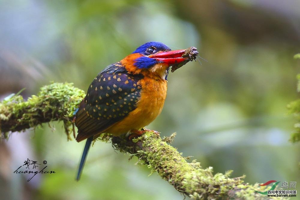 ������䣺����