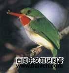 �������t