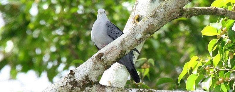 ������ͼƬ