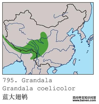 �����𶣺�����ֲ�ͼ