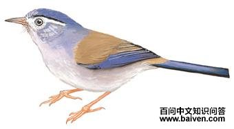 ����ϣ�̣���̬����ͼ