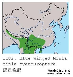 ����ϣ�̣������ֲ�ͼ