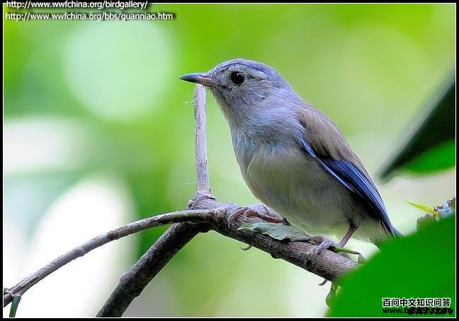 ����ϣ��