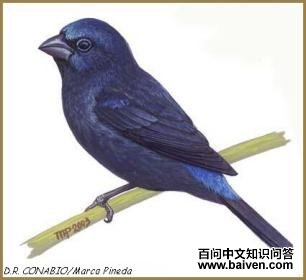 �����c����̬����ͼ