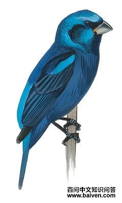 �����c����̬����ͼ