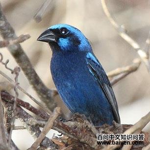 �����c������