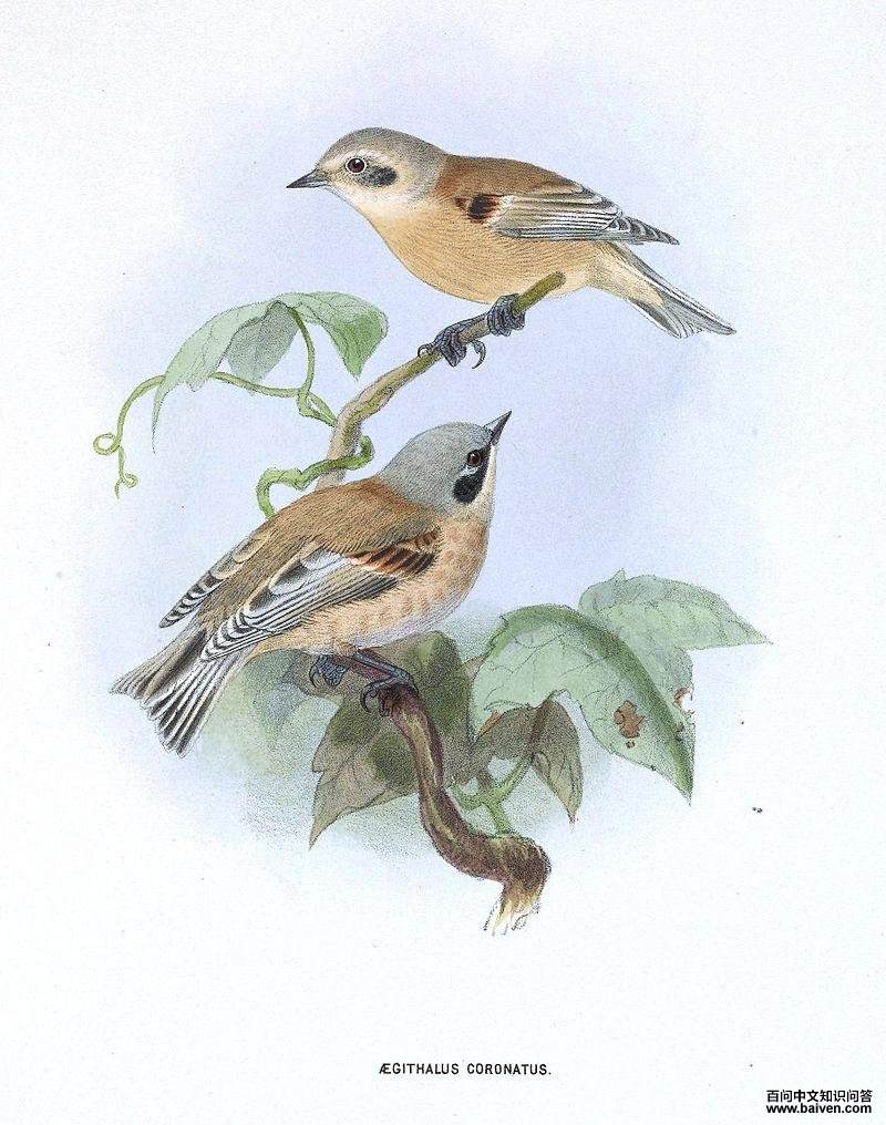 �׹���ȸ��ͼƬ