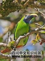 ���߾�����