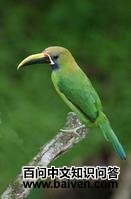 ���߾�����