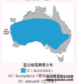 ����ϸβ��ݺ