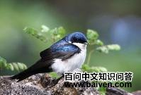 �����������ͼƬ