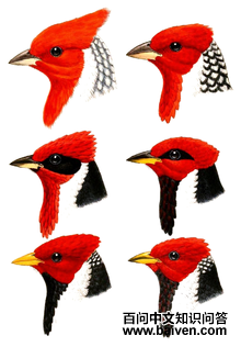 �����c��