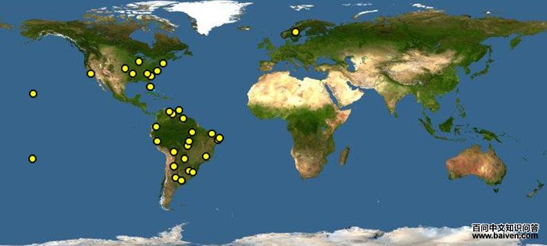 �����c��