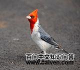 �������c