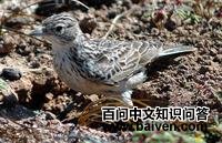 ������ȸ