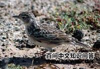 ������ȸ