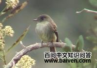 �����̰��l��ͼƬ