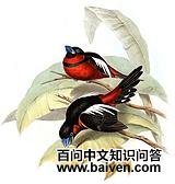 �ں���������