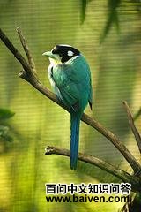 ��β��������