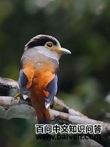 ˿������