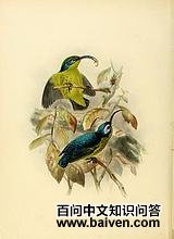 ������ü���