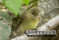 �Ƶ��ư��l