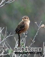 �ƶ����������ͼƬ