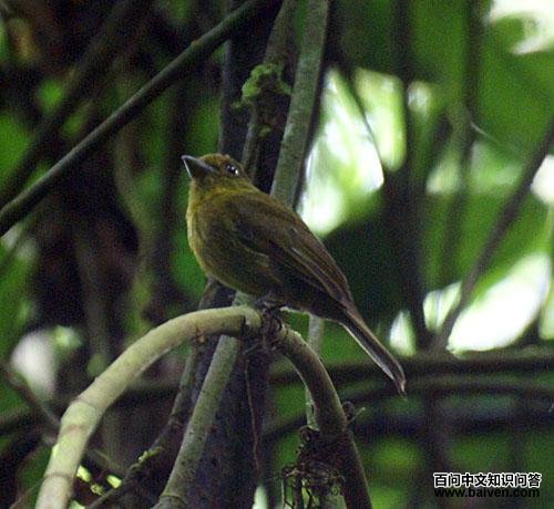 ������l��ͼƬ