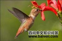 ��β�������ͼƬ