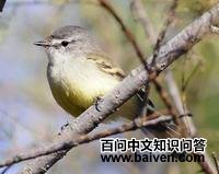 �׹ڼ����l